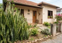 Nove plantas que afastam energias negativas e aumentam a proteção da sua casa