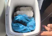Pesca com explosivos é flagrada na Baía de Todos-os-Santos