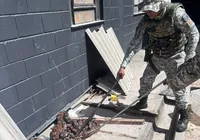 Quatro jiboias são encontradas dentro do Complexo Penal da Mata Escura
