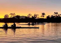 Rio com 500 crocodilos é aprovado como sede do remo nas Olimpíadas