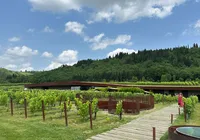 Roubo histórico: grupo invade vinícola e rouba 30 mil garrafas de vinho