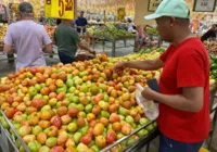Tomate 156% mais caro em Salvador: veja o porquê e quanto pesa no bolso