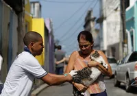 Vacinação de cães e gatos acontece em bairros de Salvador neste domingo (30/08)