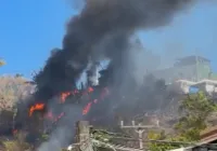 Vídeo: Incêndio atinge área de mata nas dunas do Imbuí, em Salvador
