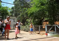 Zoológicos podem ser proibidos de funcionar em todo o Brasil