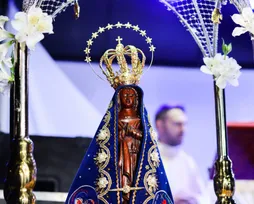 Humorista desafia justiça e republica post sobre Nossa Senhora Aparecida - Imagem