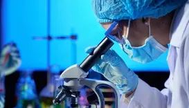 Primeira infecção humana por vírus comum em gado é registrada no mundo