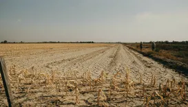 Seca afeta agropecuária de 57 cidades da Bahia e acende alerta