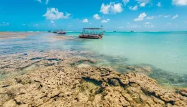 Segunda melhor praia do Nordeste ganha selo internacional