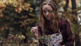 Série esquecida da Netflix com 8 episódios para esta segunda (07/09)