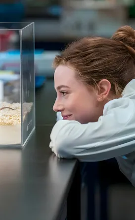 Filme do Prime Video vira fenômeno e alcança 1º lugar em 49 países