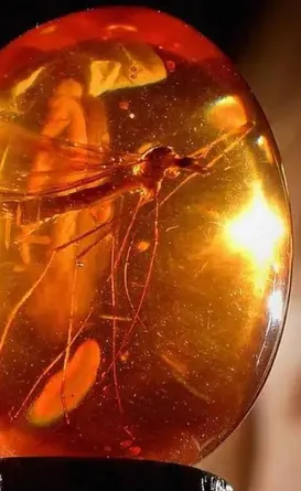 Mosquito falso de filme famoso é vendido por R$ 2,2 milhões
