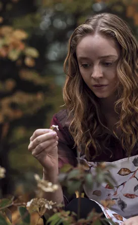 Série esquecida da Netflix com 8 episódios para esta segunda (07/09)