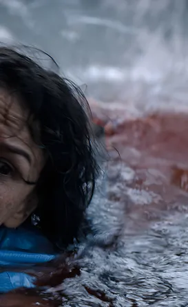 Tubarão é avistado em rua alagada e lembra filme no TOP 5 da Netflix