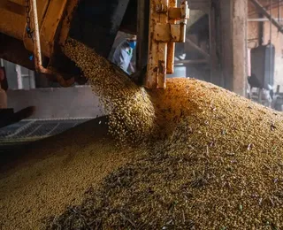 ‘Agribusiness Plan’: o futuro está no presente