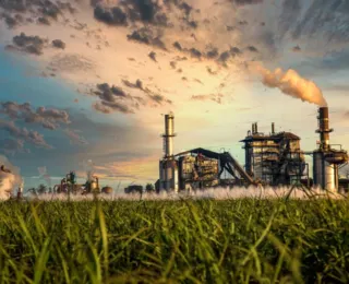 Agro dispara na produção de biomassa e ganha espaço recorde na energia