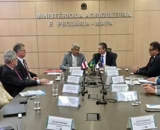Bahia terá previsão de safra de cacau após acordo sobre produção