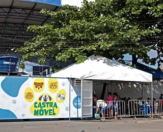 Castração gratuita de cães e gatos na Paralela começa nesta terça