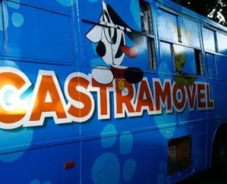Castramóvel realiza castração gratuita de cães e gatos em Amaralina