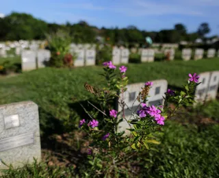 Dia de Finados em Salvador terá missas em cemitérios; veja programação