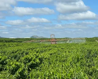 El Niño acende alerta na produção agropecuária