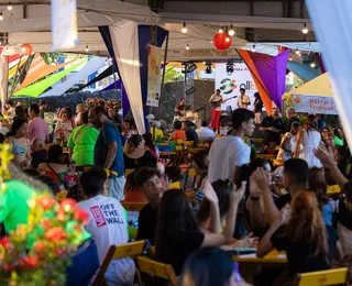 Festival Primaverão reúne voluntários e movimenta a economia solidária