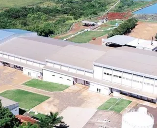 Gigante rede de frigorífico tem falência decretada e demite 350 funcionários