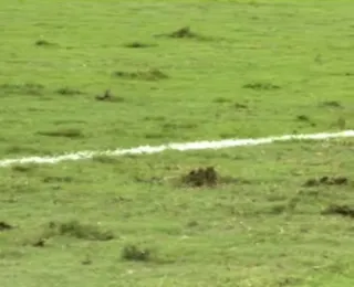 Gramado ruim vira "atração" à parte em amistoso da Seleção Brasileira