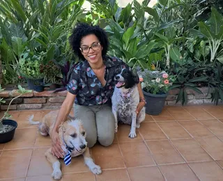 Legislação protege quem cuida de animais