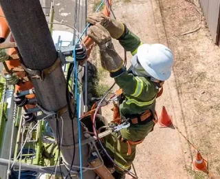 Mais de 20 cidades vão receber Operação Gatonet da Coelba; veja quais