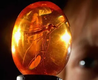 Mosquito falso de filme famoso é vendido por R$ 2,2 milhões