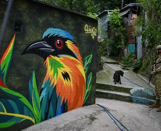 Mulheres transformam com arte antiga zona dominada por gangues