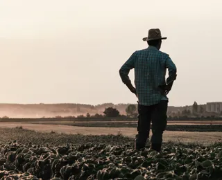 Nova lei de seguro rural: veja o que muda para o produtor