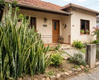 Nove plantas que afastam energias negativas e aumentam a proteção da sua casa
