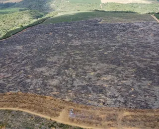 Operação localiza mais de 200 hectares de desmatamento ilegal na Bahia