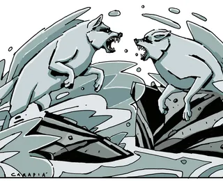 Os dois lobos que vivem dentro de nós: qual deles você escolhe alimentar?