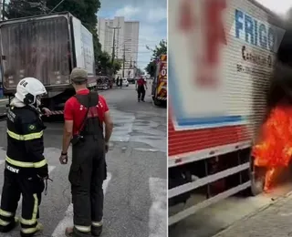 Pássaro atinge fiação, morre e provoca incêndio em caminhão na Bahia
