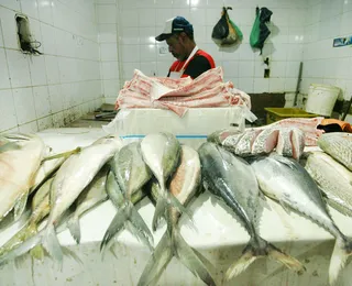 Pesca em rio famoso do Brasil é proibida e multa pode chegar a R$ 100 mil