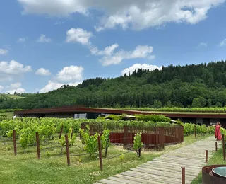 Roubo histórico: grupo invade vinícola e rouba 30 mil garrafas de vinho