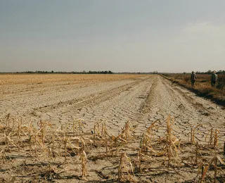 Seca afeta agropecuária de 57 cidades da Bahia e acende alerta