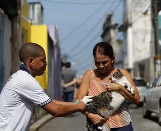 Vacinação de cães e gatos acontece em bairros de Salvador neste domingo (30/08)