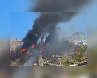 Vídeo: Incêndio atinge área de mata nas dunas do Imbuí, em Salvador