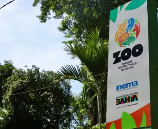 Zoológico de Salvador anuncia visitas noturnas; veja como participar