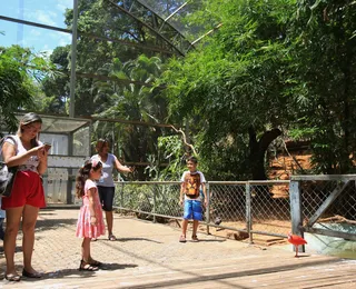 Zoológicos podem ser proibidos de funcionar em todo o Brasil