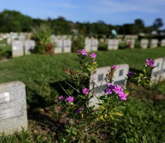 Dia de Finados em Salvador terá missas em cemitérios; veja programação