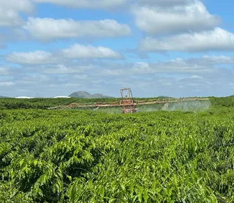 El Niño acende alerta na produção agropecuária