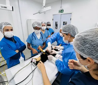 Exames e consultas de graça para cadelas e gatas no Outubro Rosa Pet em Salvador