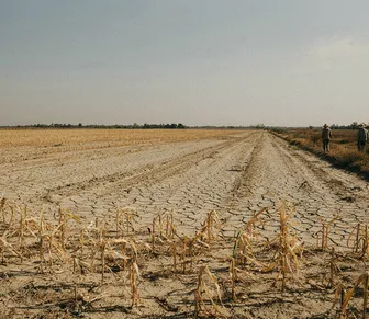 Seca afeta agropecuária de 57 cidades da Bahia e acende alerta