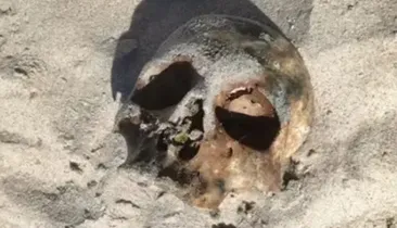Mistério na praia: crânio aparece em praia de Salvador