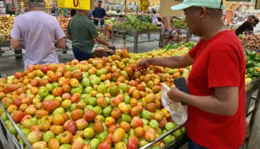 Tomate 156% mais caro em Salvador: veja o porquê e quanto pesa no bolso